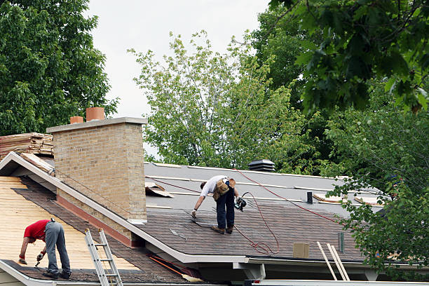 Best Roof Gutter Cleaning  in Pennsboro, WV